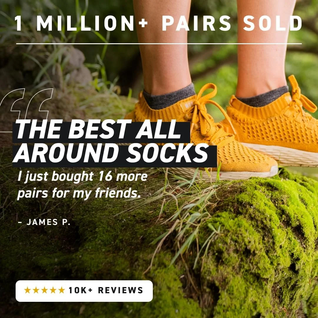 HOLLOW Alpaca No Show Socks Moisture Wicking Socks Men & Women